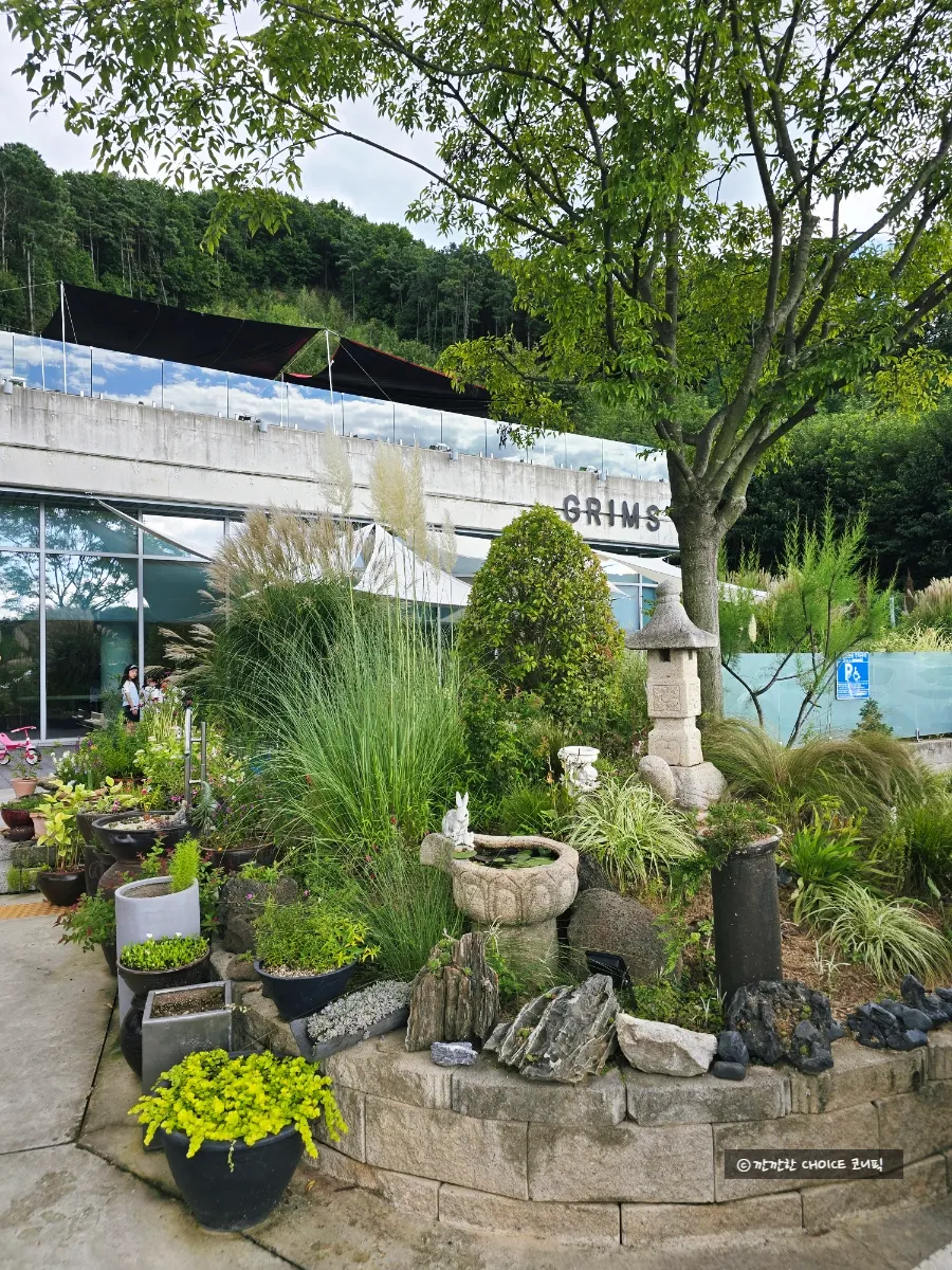 Visiting Geurimseu Cafe in Cheonan
