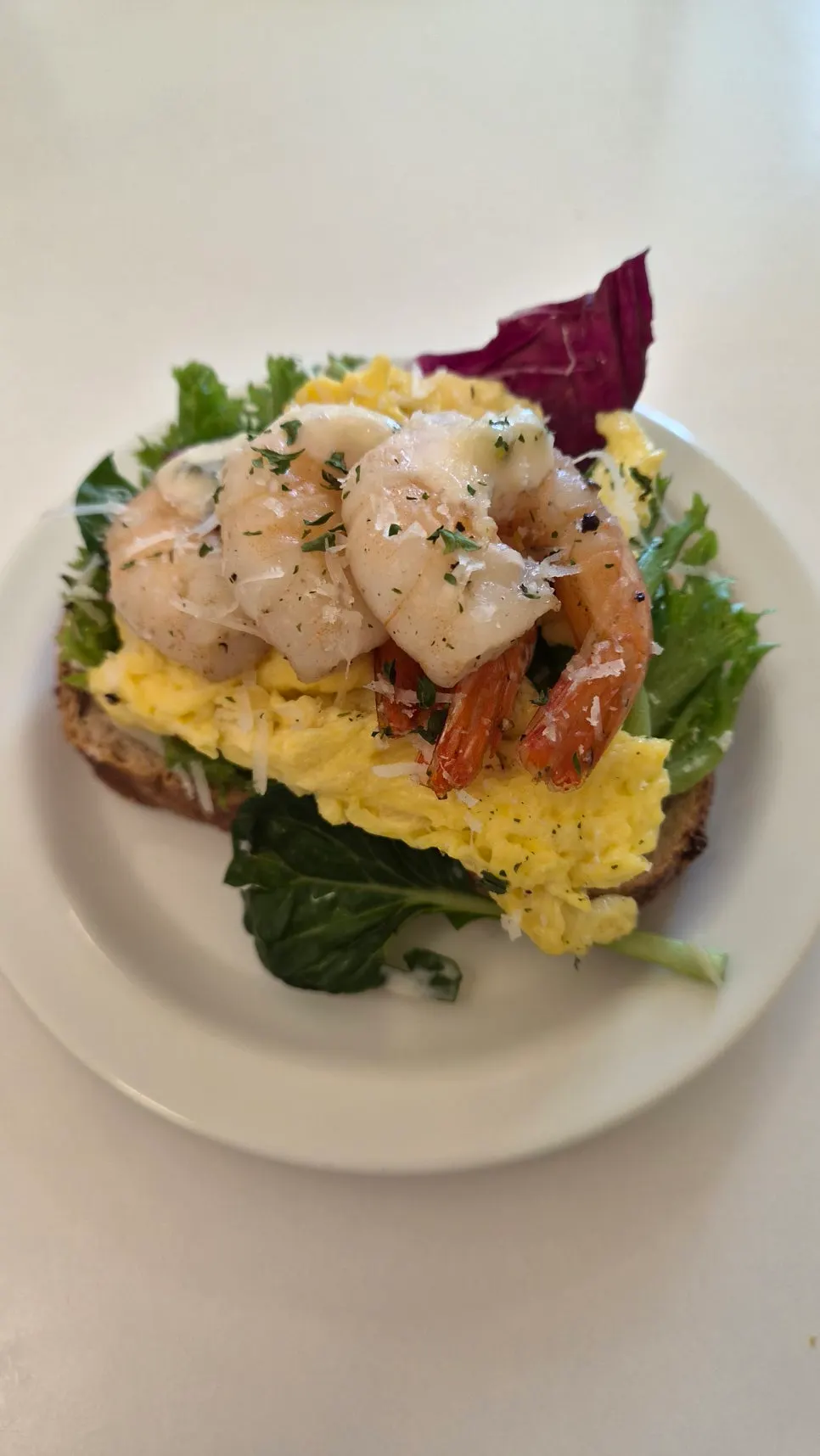 Shrimp open sandwich