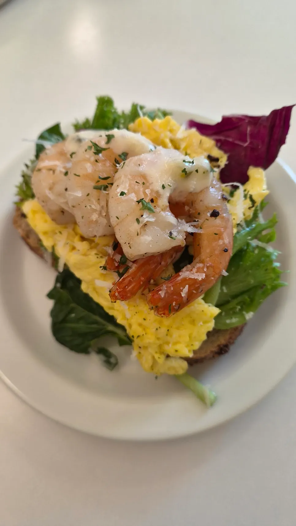 Shrimp open sandwich