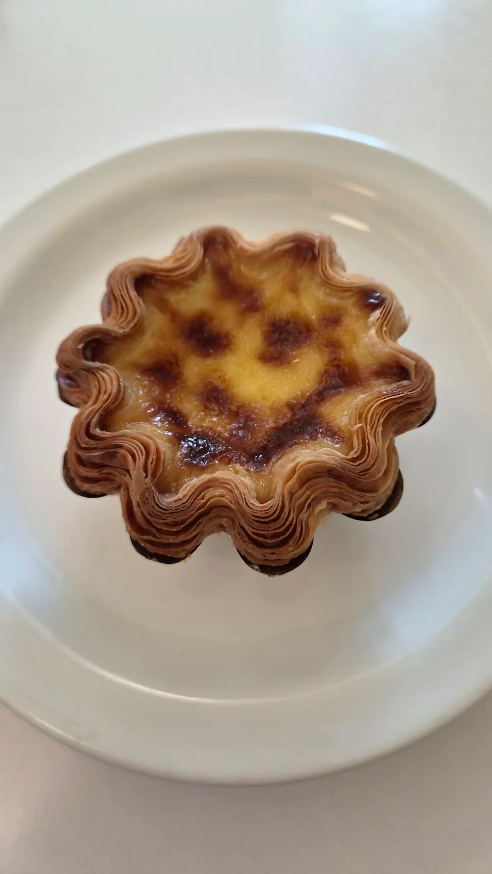 Siyudang's windmill rooftop and brunch café experience in Cheonan with children