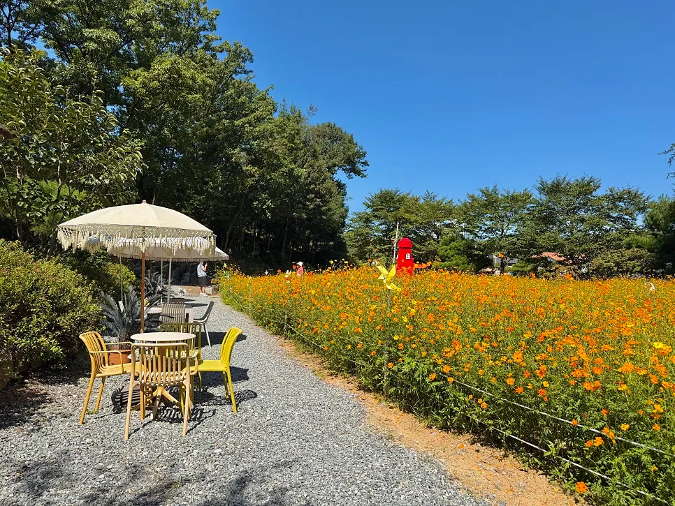 Seasonal view of the outdoor garden at Pino Cafe Cheonan