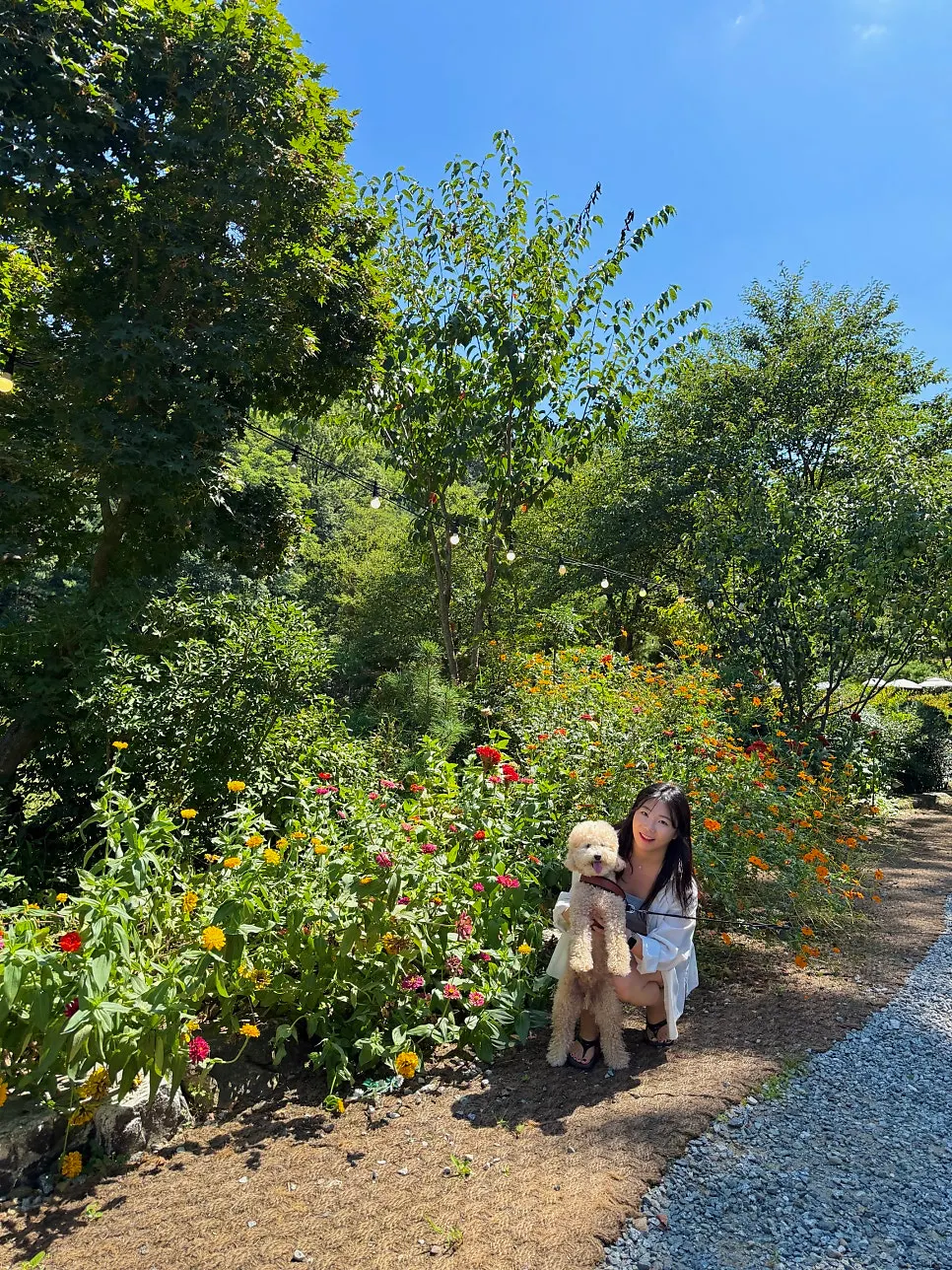 Dog-friendly café in Cheonan visited with a dog