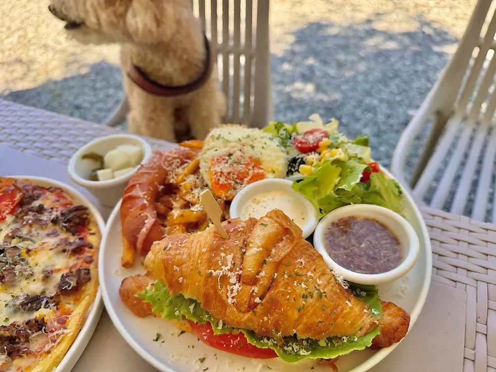 Croissant sandwich platter