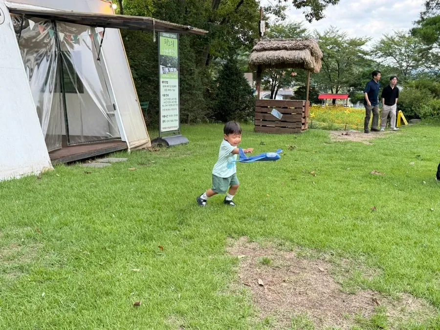 Grassy play space for children