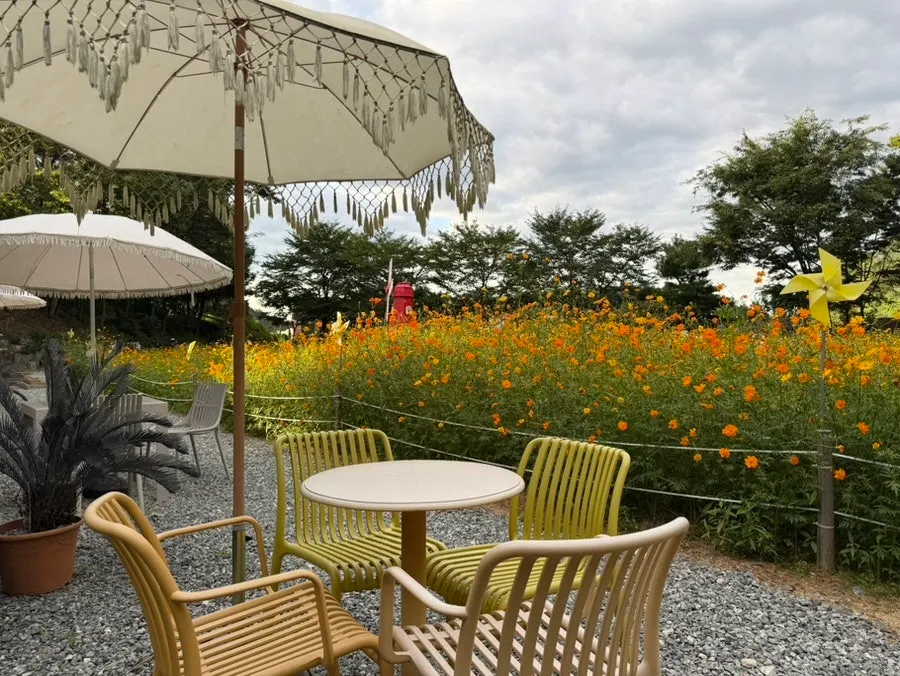 Indoor seating in Pino Cafe Cheonan’s main building