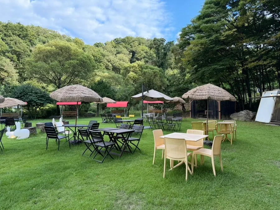 Outdoor seating around the yellow cosmos