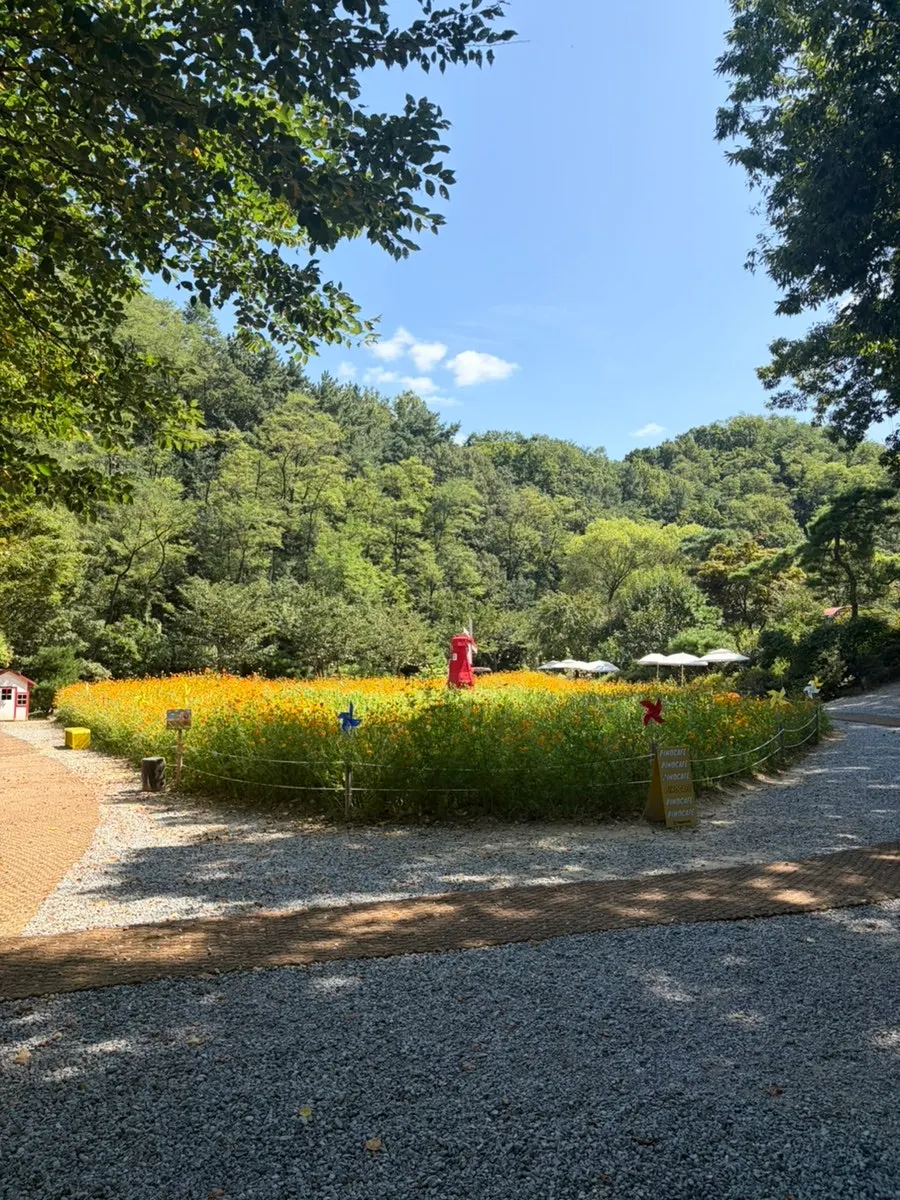 Flower-filled garden at Pino Cafe Cheonan