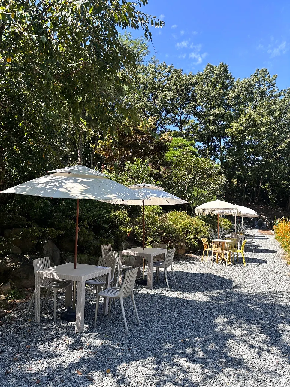 Pino Cafe red windmill photo spot