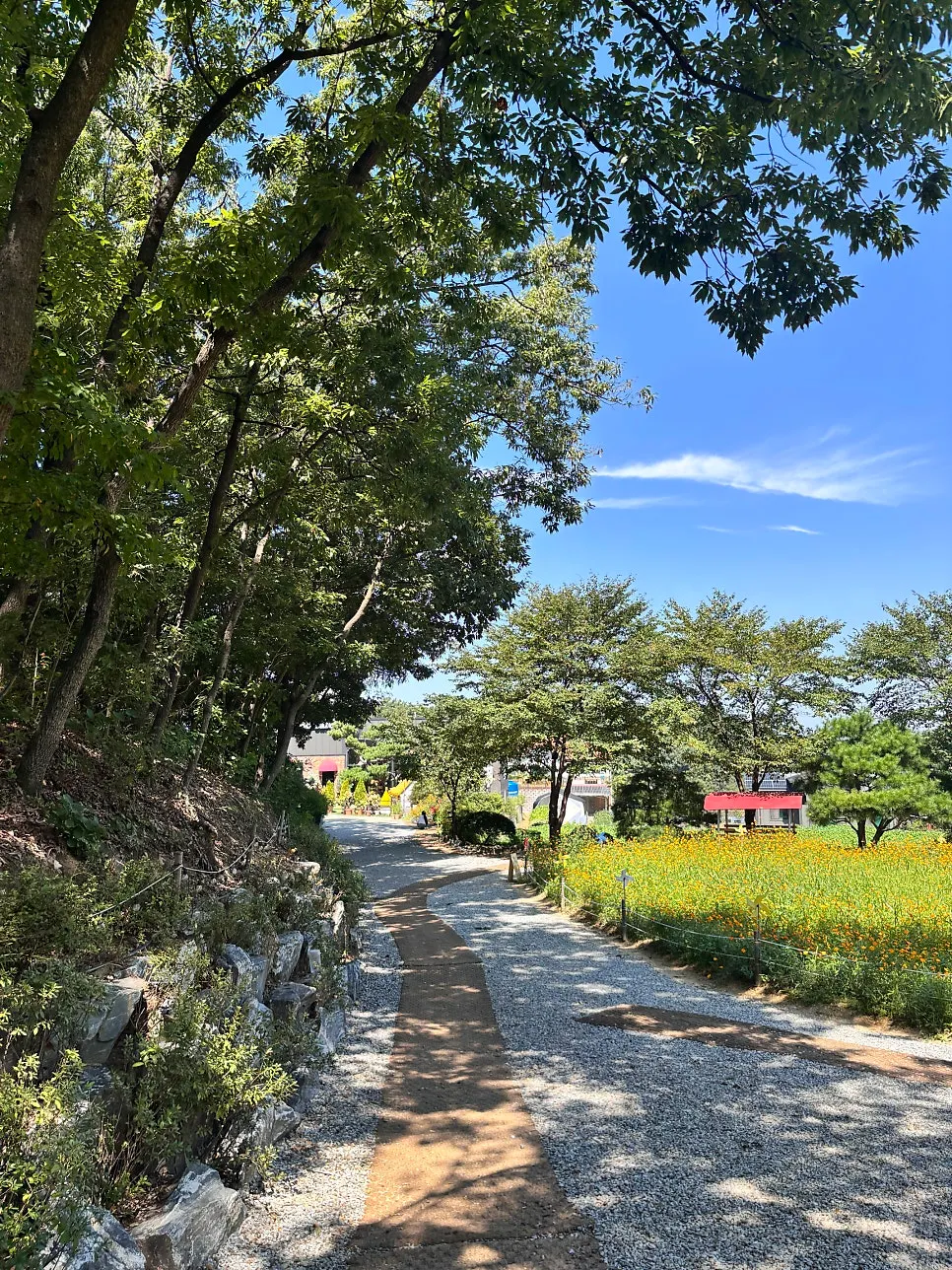 Café that is great after an outing at Taehaksan