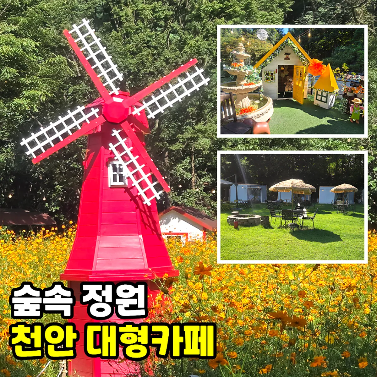 Signature view of Pino Cafe Cheonan at Taehaksan Recreational Forest