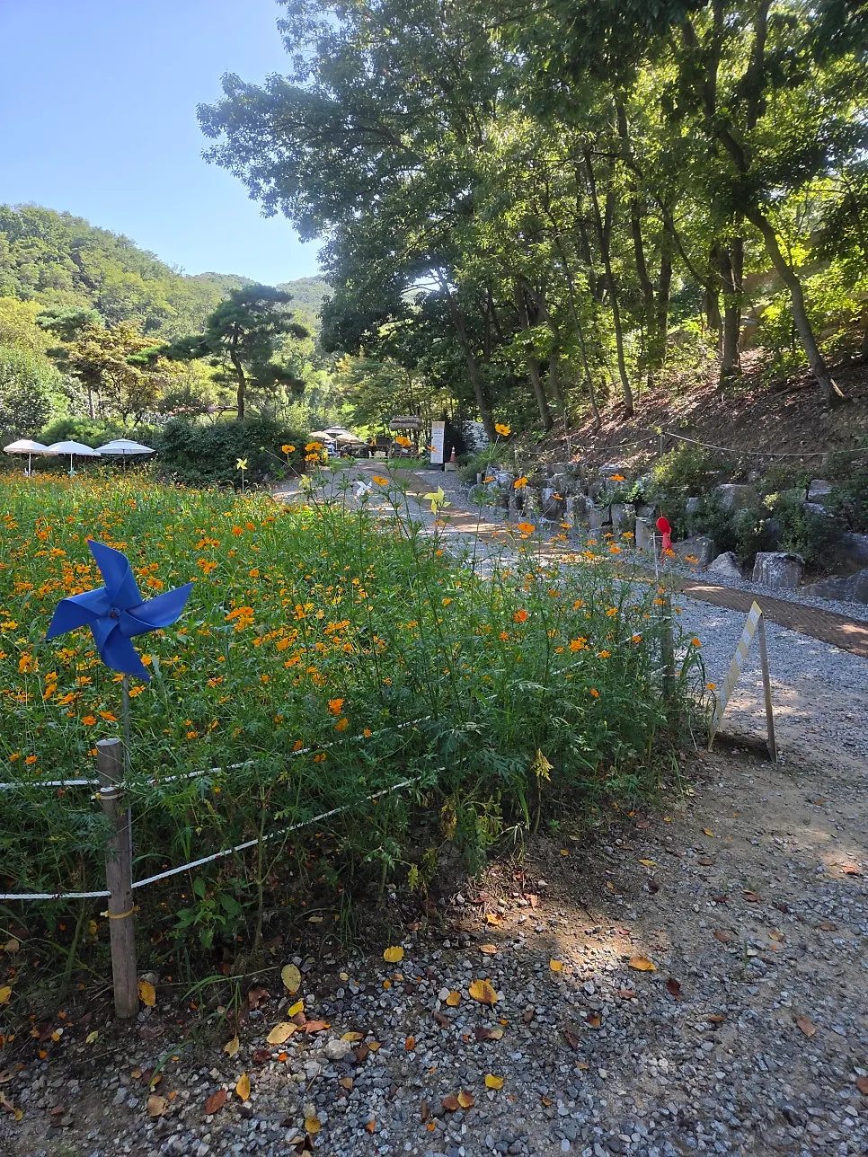 Pino Cafe Cheonan garden blended with nature