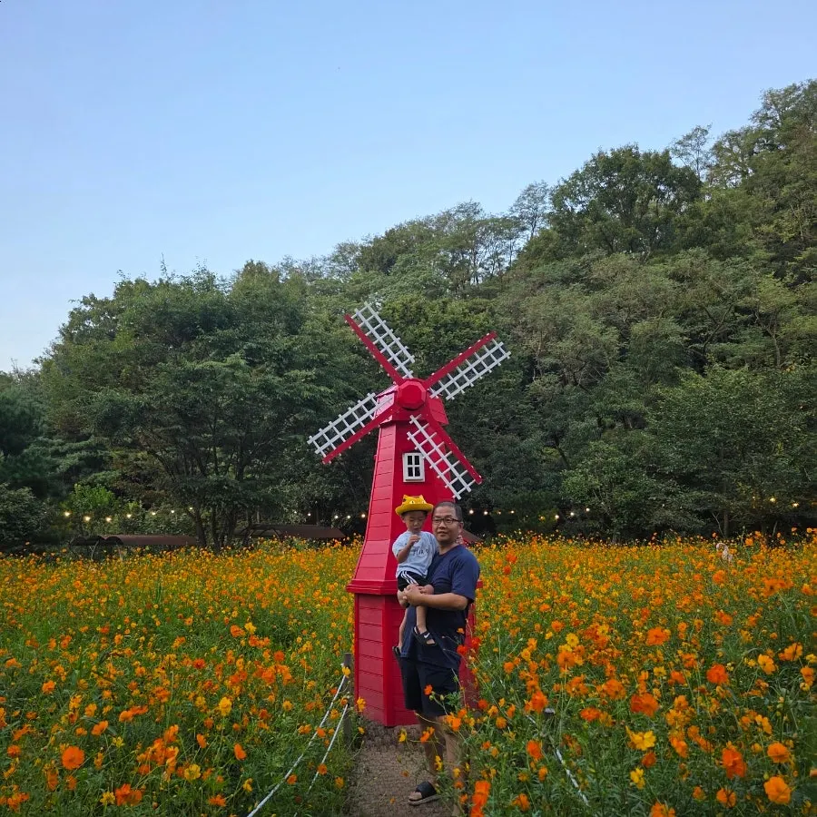 Garden photo spot at Pino Cafe Cheonan
