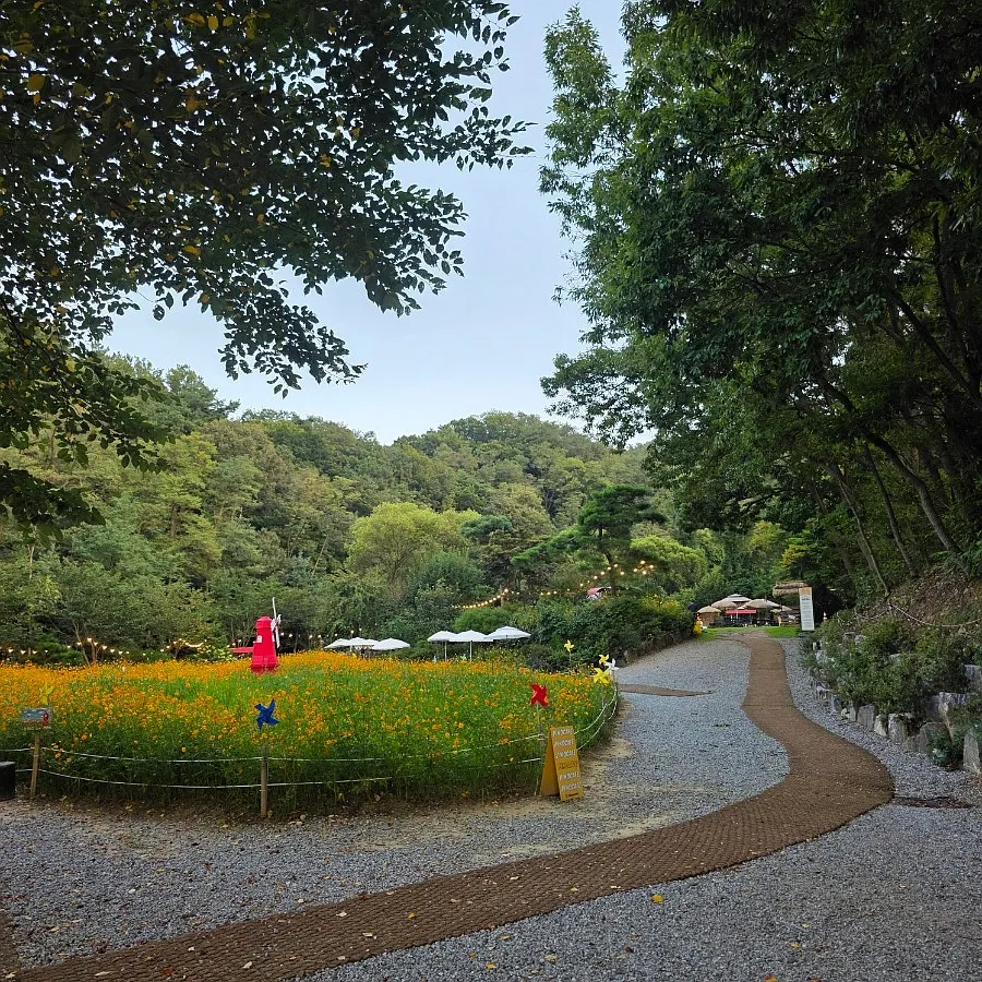 Pino's Romantic Campnic tent zone