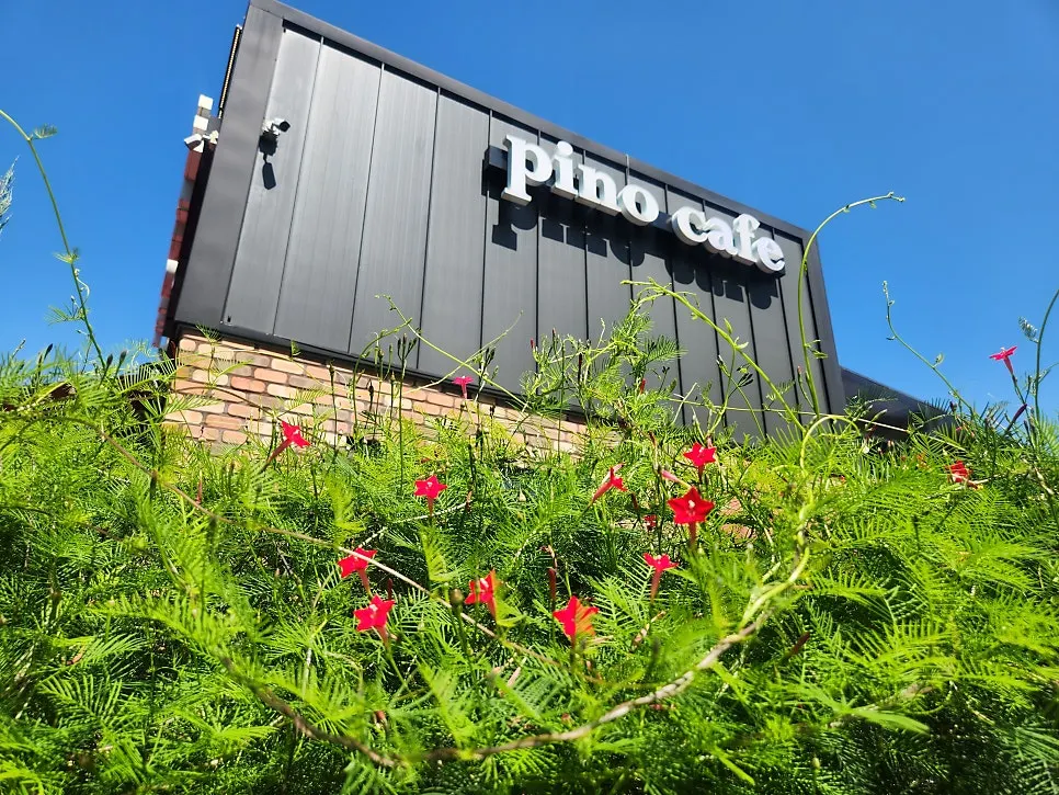 Pino Cafe Cheonan, where you can enjoy natural scenery