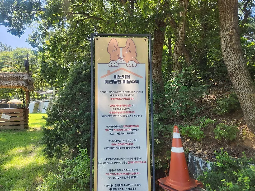 Outdoor space where dogs are welcome