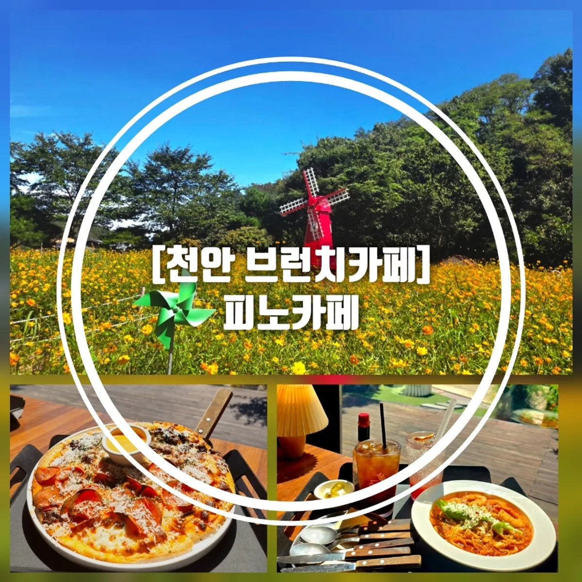 Pino Cafe Cheonan information