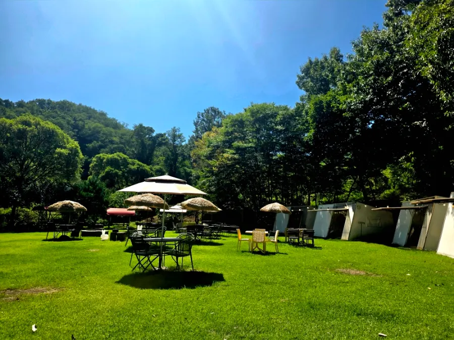 Private outdoor lawn seating