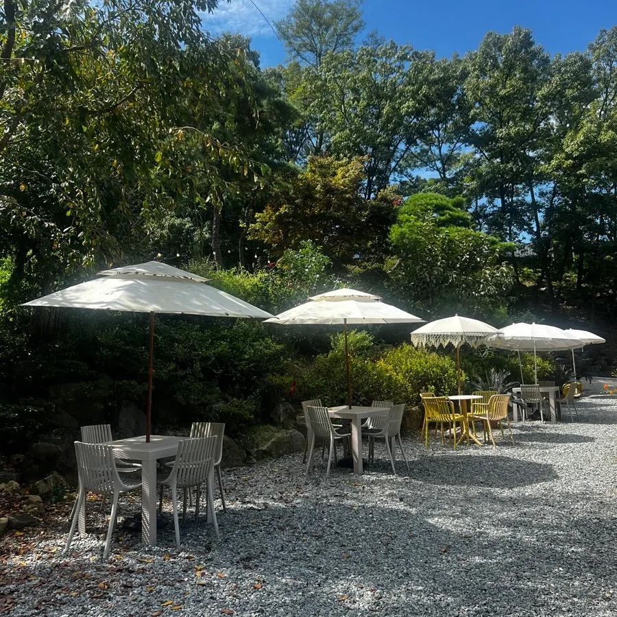 Outdoor garden path at Pino Cafe