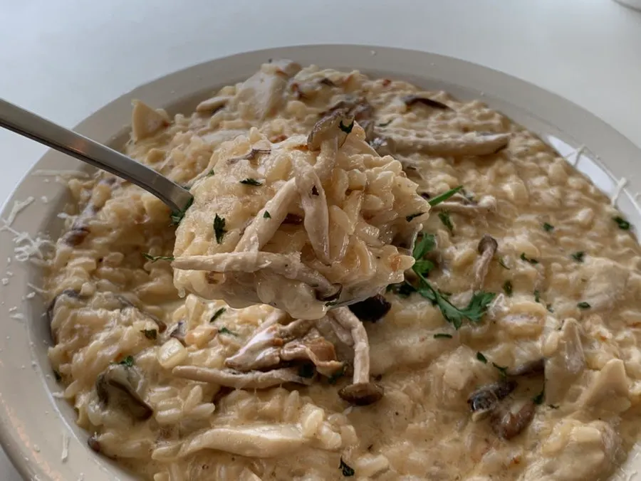 Plate of porcini truffle cream risotto