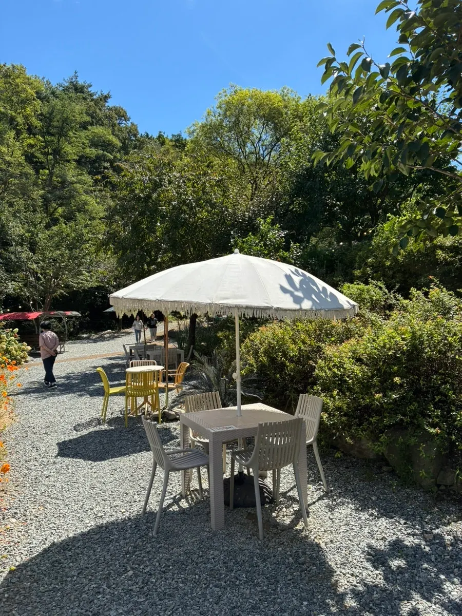 Pino Cafe outdoor campnic area