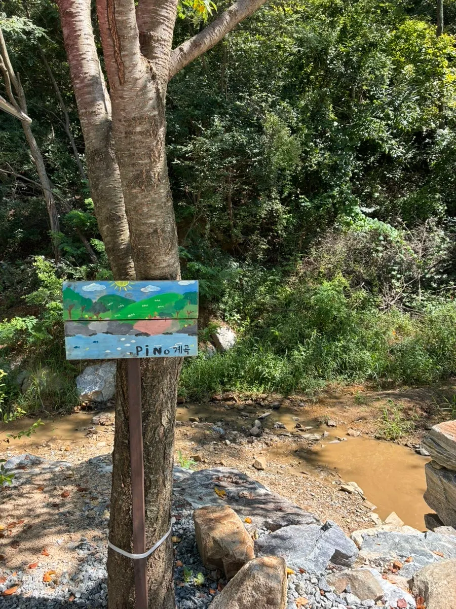 Pino Cafe garden and the stream beside it