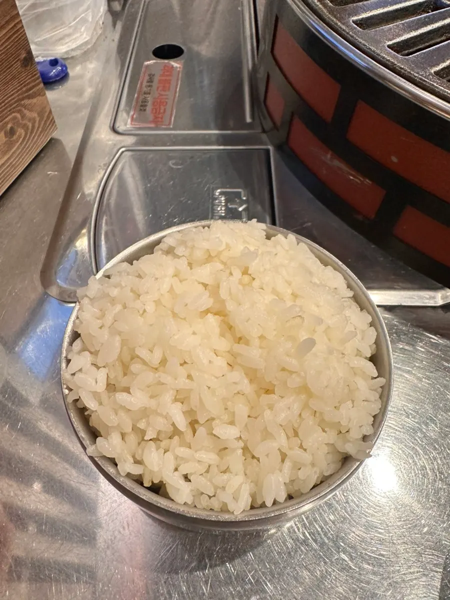 Bowl of rice piled up high