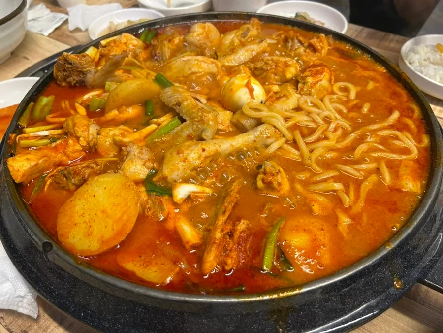 Cauldron chicken stew with udon noodles added