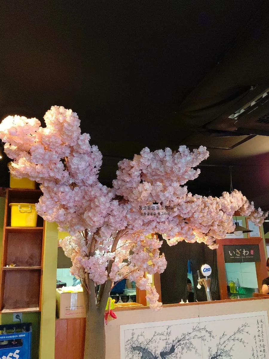 Izawa's atmosphere, great for a date course
