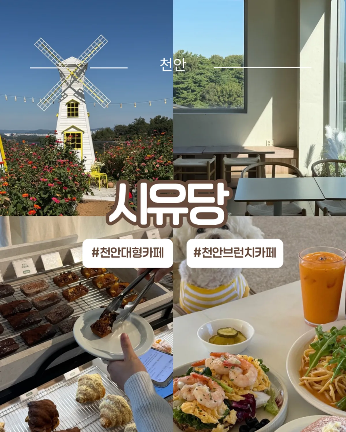 천안 풍세 대형 브런치 카페 시유당 외관