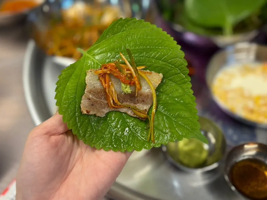 A wrap with lettuce and sauces alongside the meat