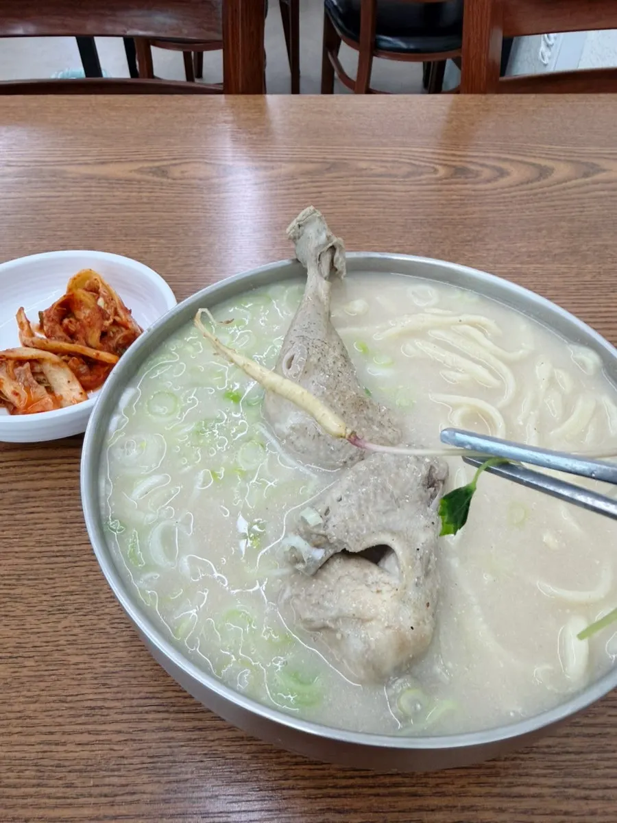 삼계칼국수에 올라간 새싹삼