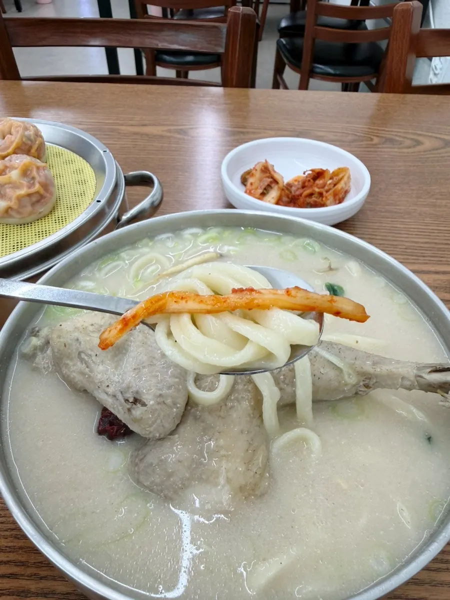 닭육수가 배인 자가제면 칼국수 면