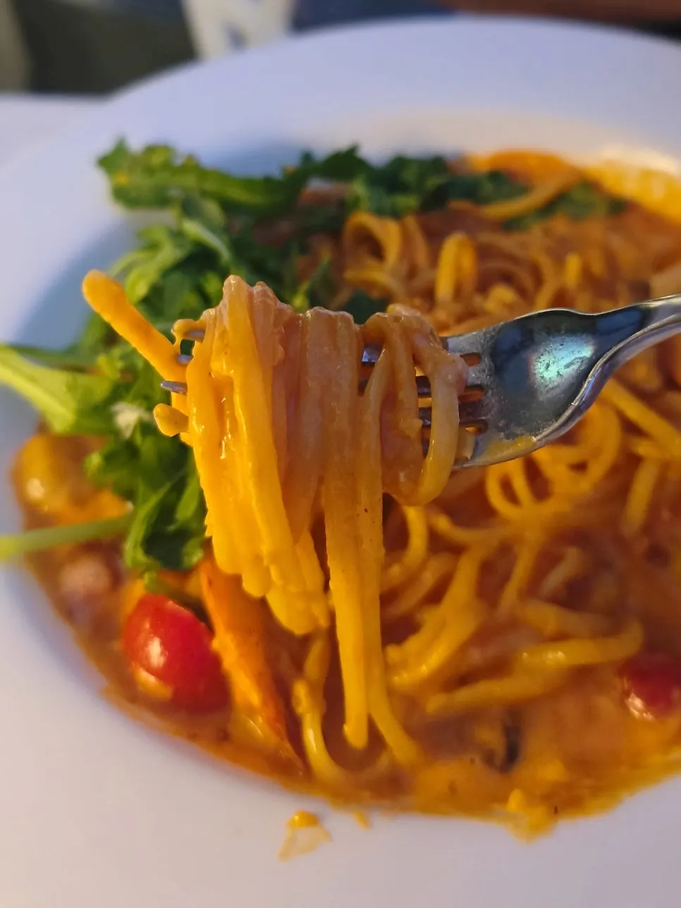 Rosé pasta with shrimp and mushrooms