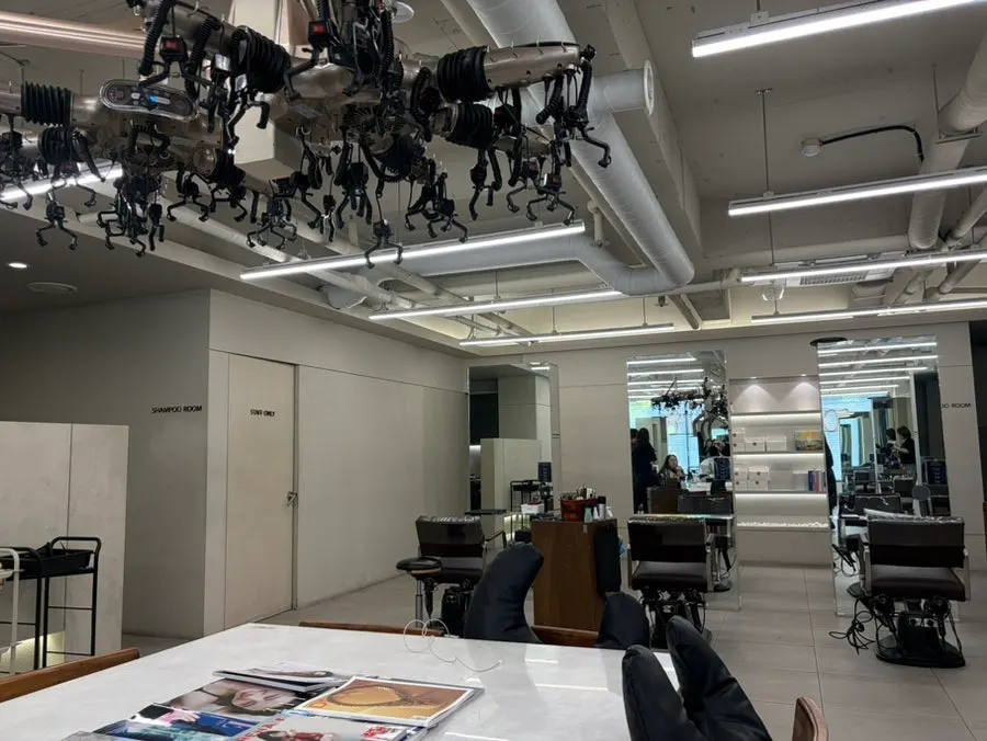 Salon interior with mirrors and chairs