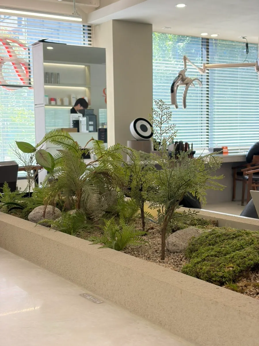 Plant-filled interior decor of Beorn Hair Cheongdam