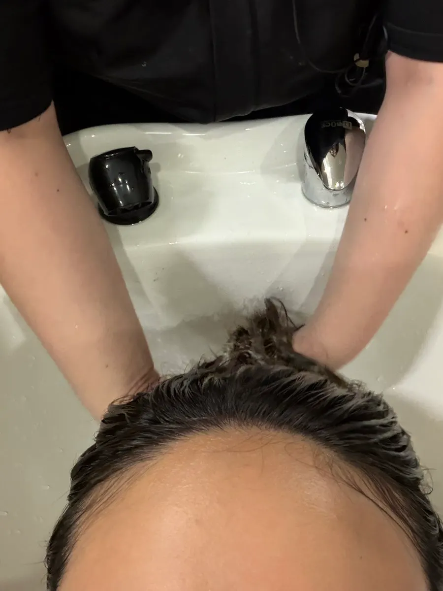 Step 1: applying high-molecular protein to wet hair