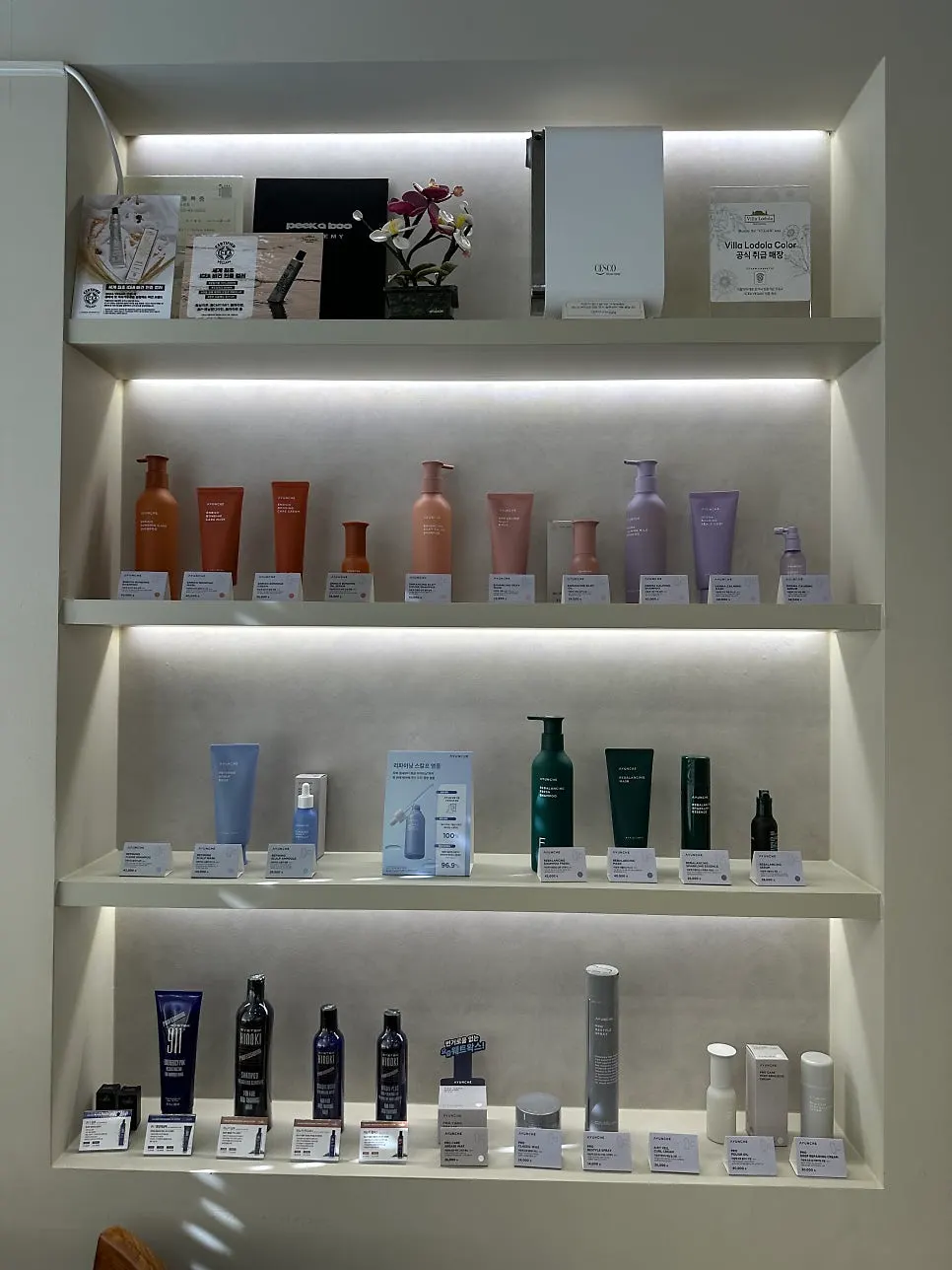 Spacious interior of Beorn Hair Cheongdam