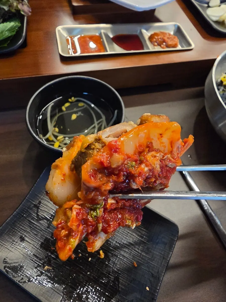 고기에 김치를 올린 보쌈 한 점