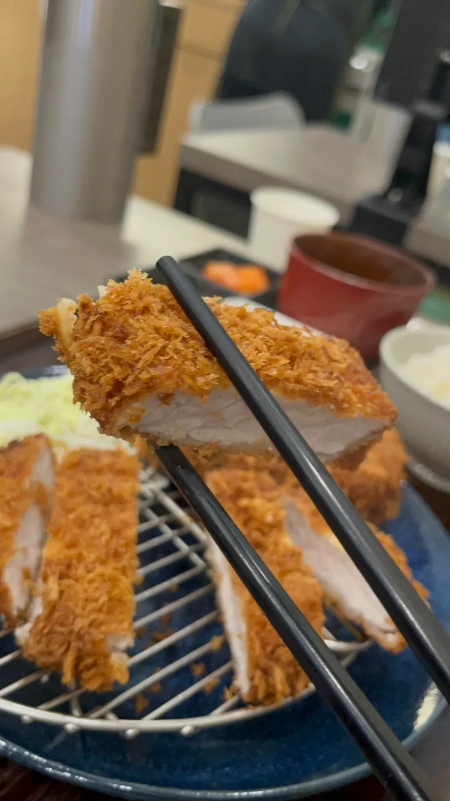 Close-up of the coarse breadcrumb coating