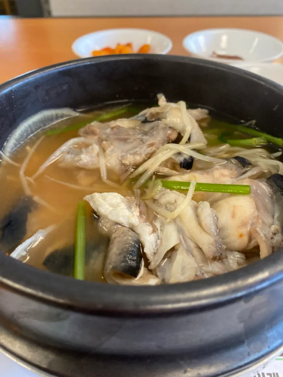 A meal scene on a day I went looking for pufferfish soup