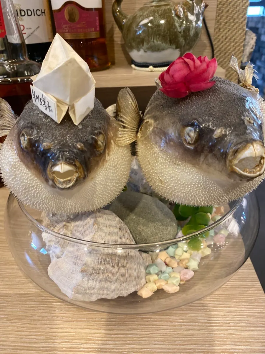 A mild bowl of clear pufferfish soup