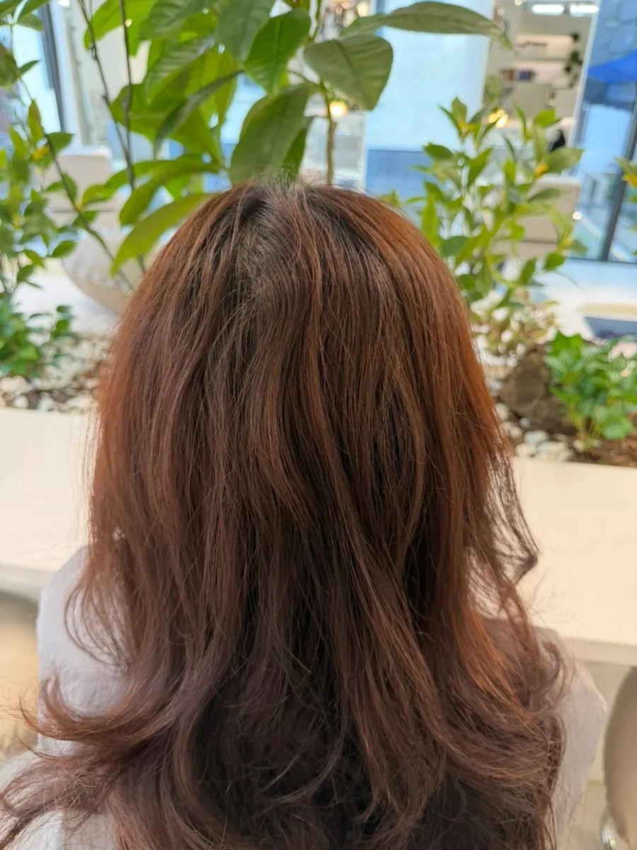 Preparing for the root touch-up treatment