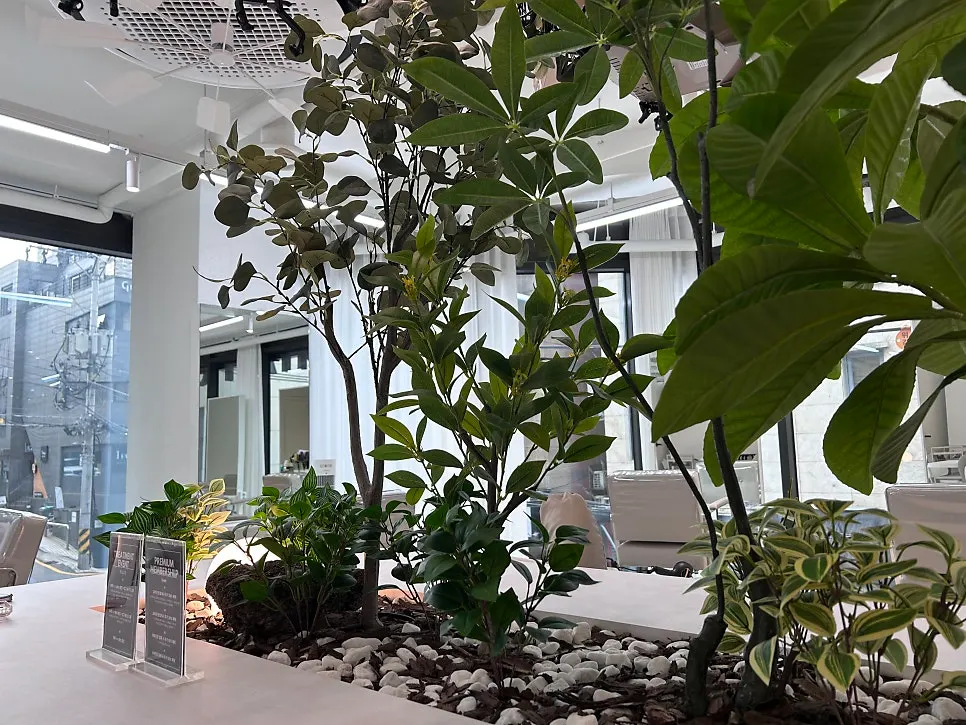 Salon space with white tones and plants