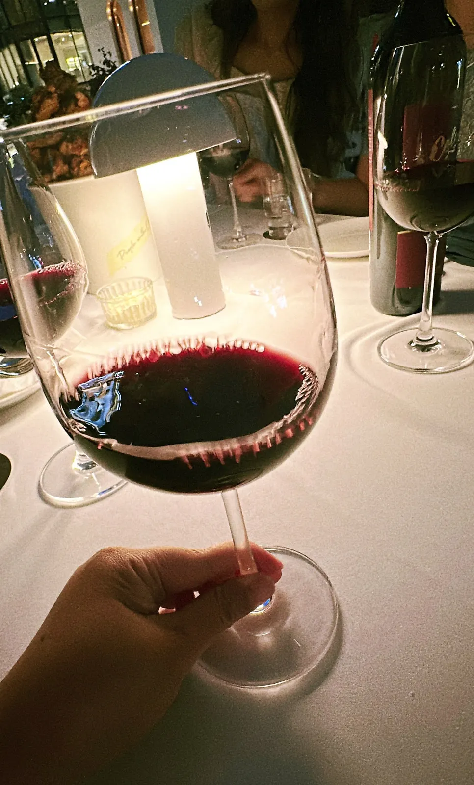 Malbec red wine enjoyed on the terrace