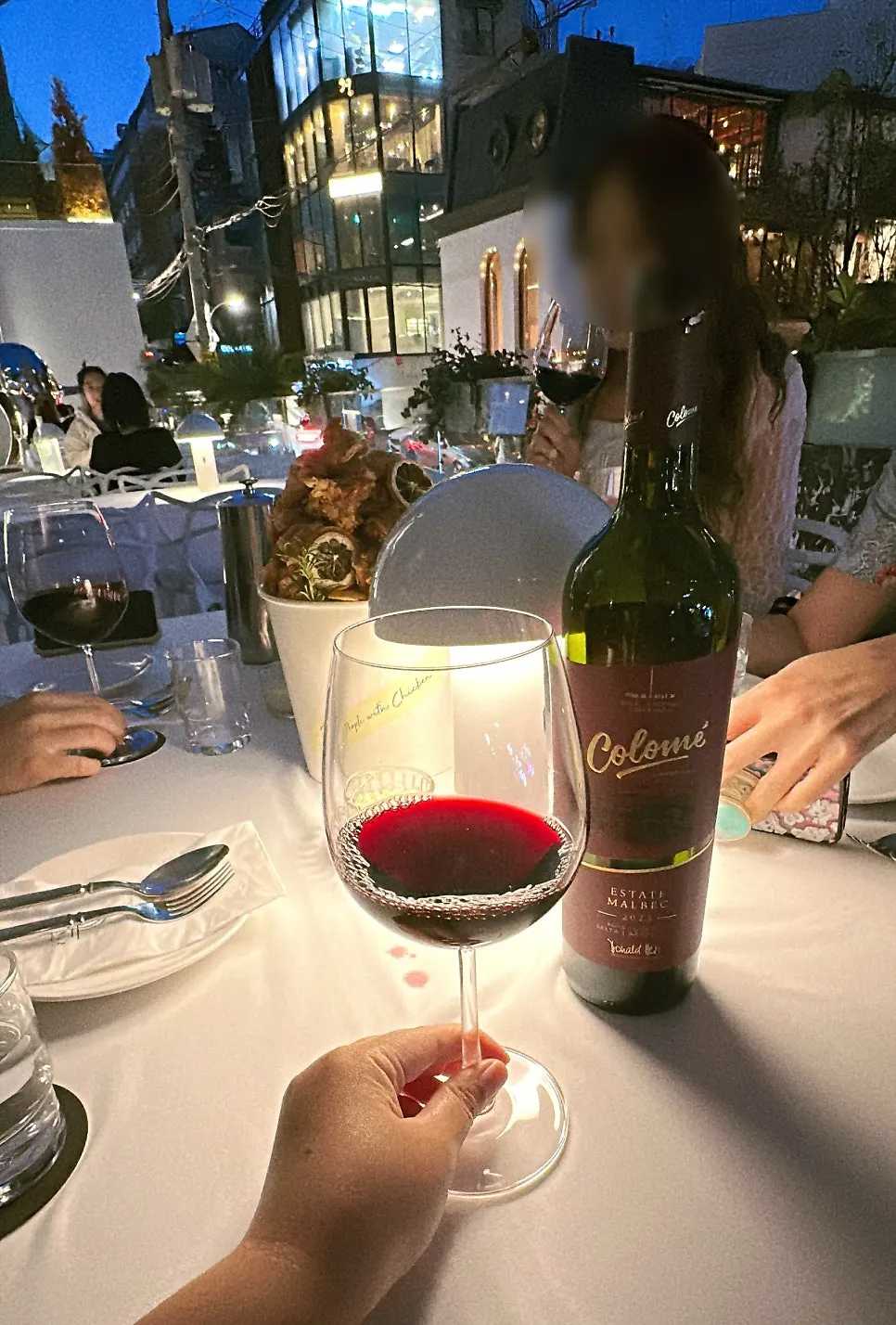 Malbec wine paired with food