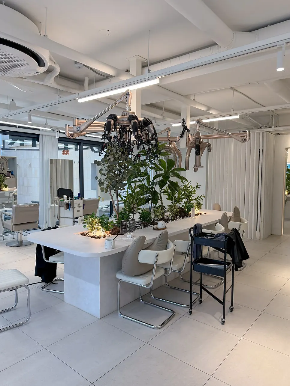 Neatly arranged interior space of the hair salon