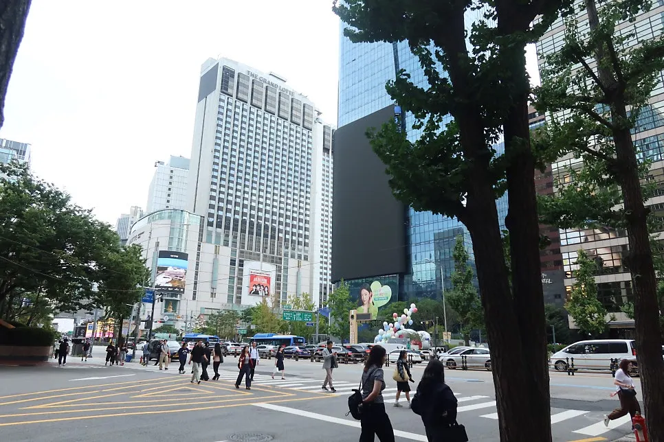 Cheonggyecheon Outdoor Library outing scene