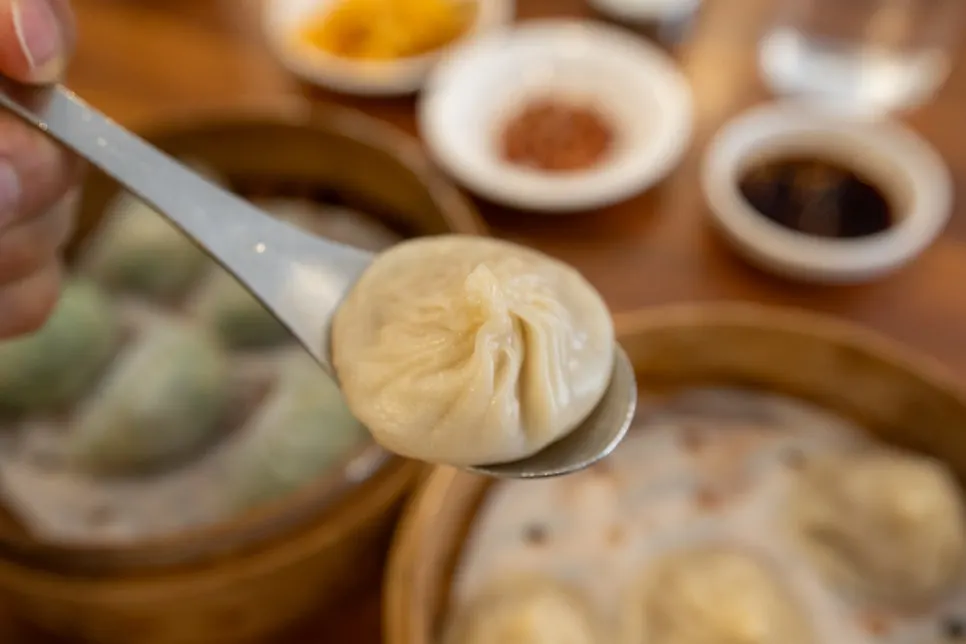 Cross-section of a xiaolongbao with broth spilling out