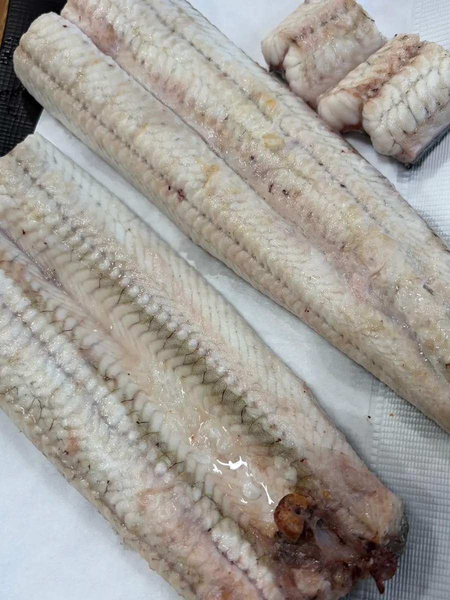 Thick cleaned eel ready for grilling
