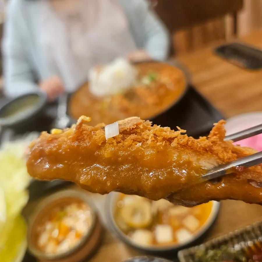 Table spread showing both the braised mackerel and pork cutlet curry